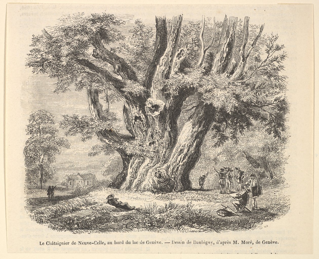 Le Châtaignier de Neuve-Celle, am Ufer des Genfersees, nach Daubigny, 1835-78 von Unbekannt