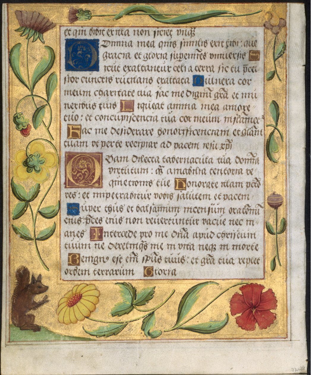 Blatt aus einem Psalter und Gebetbuch: Ornamentaler Rand mit Blumen und Eichhörnchen verso, um 1524 von Unbekannt
