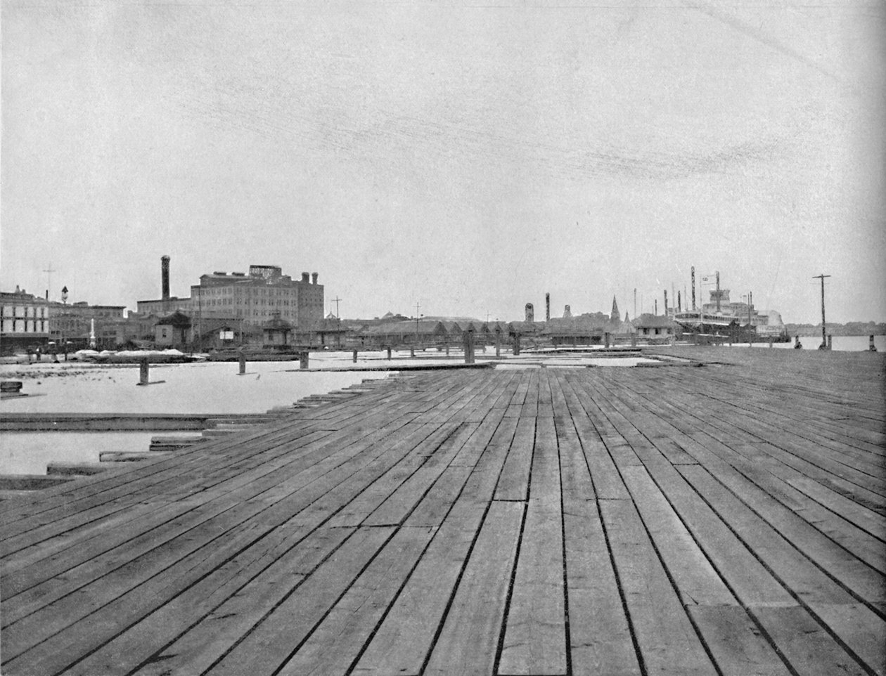 Deich und Dampfschiffanlegestelle, New Orleans von Unbekannt