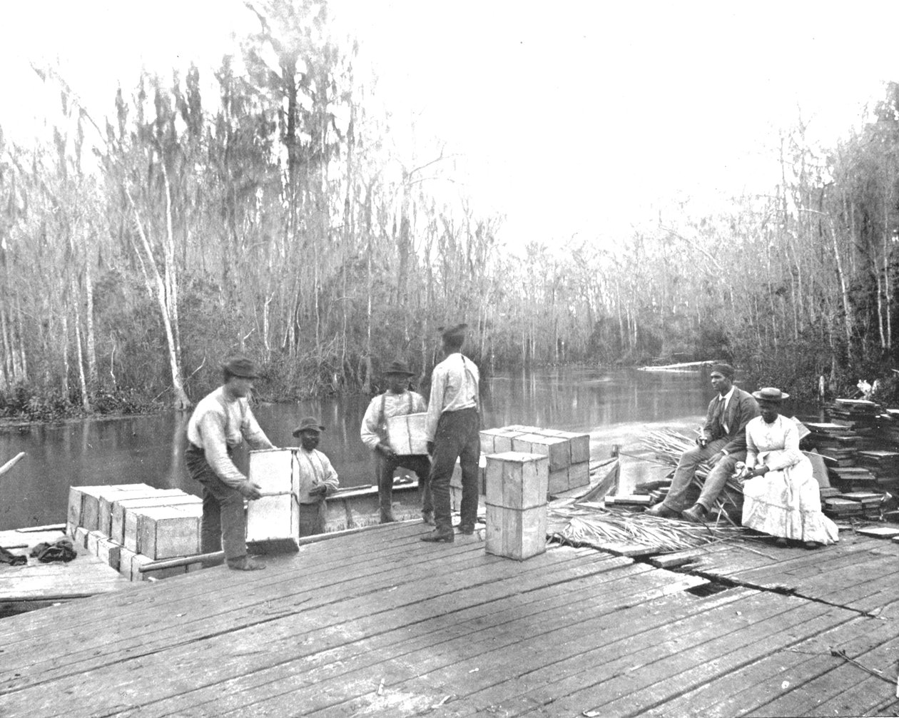 Orangenverladung am Ocklawaha River, Florida, USA, ca. 1900 von Unbekannt