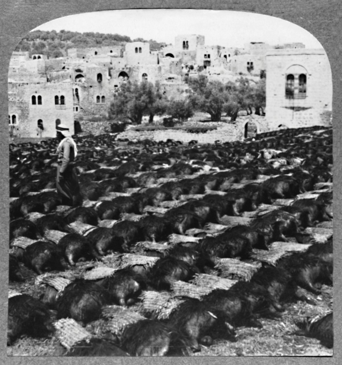 Herstellung von Weinflaschen, Hebron, ca. 1900 von Unbekannt