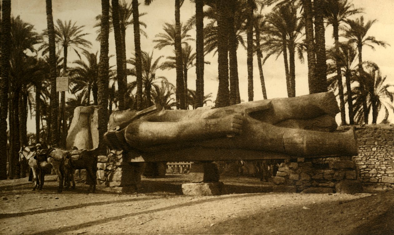 Memphis - Die kolossale Statue von Ramses II., um 1918-1939 von Unbekannt