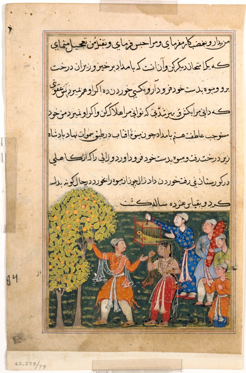 Seite aus Geschichten eines Papageis Tuti-nama: Neunte Nacht: Der König pflückt Früchte vom Baum..., ca. 156 von Unbekannt
