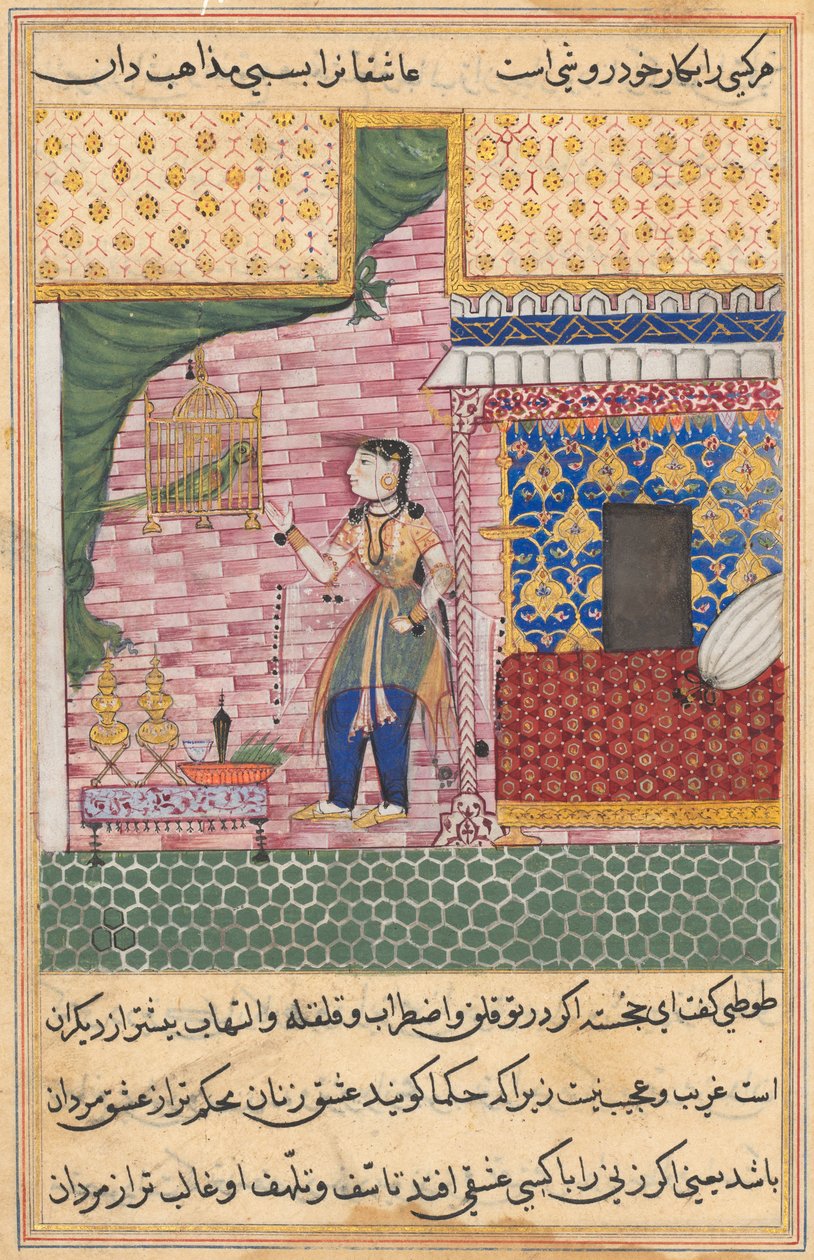 Seite aus Geschichten eines Papageis Tuti-nama: Siebzehnte Nacht: Der Papagei..., ca. 1560 von Unbekannt