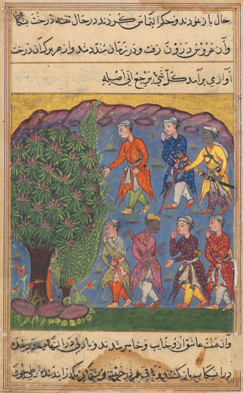 Seite aus Geschichten eines Papageis Tuti-nama: Sechste Nacht: Sieben Männer streiten um den Besitz, ca. 1560 von Unbekannt