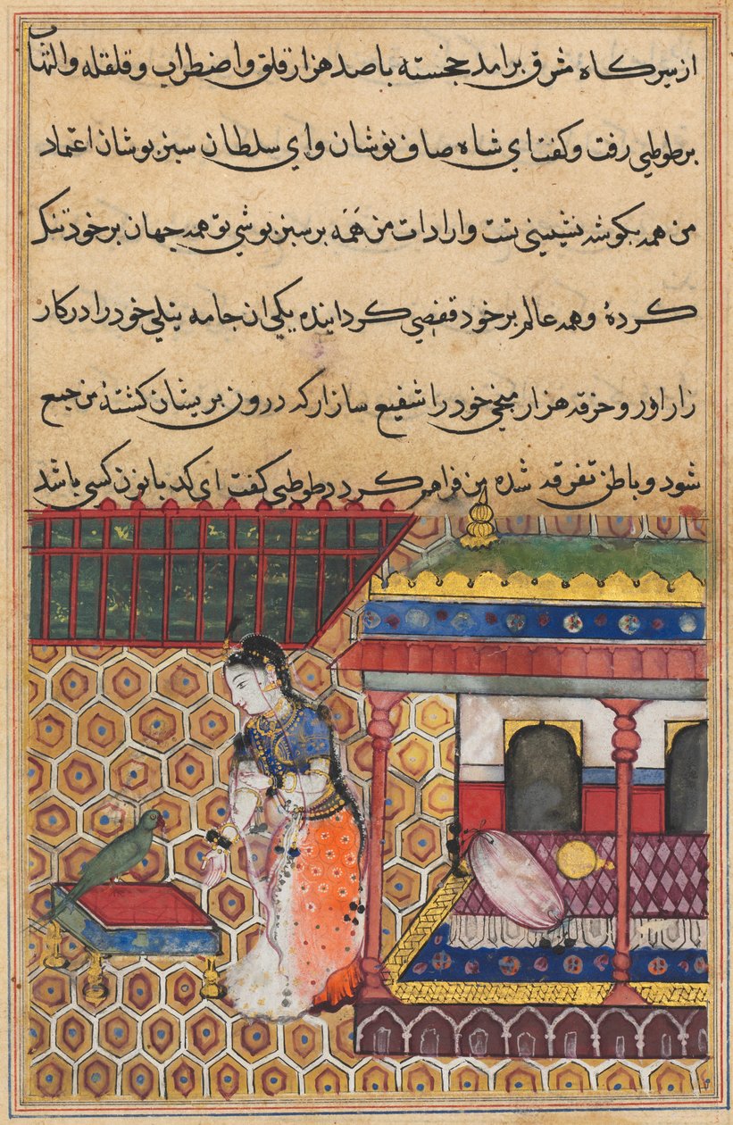 Seite aus Geschichten eines Papageis Tuti-nama: Achtunddreißigste Nacht: Der Papagei spricht Khujasta an, ca. 1560 von Unbekannt