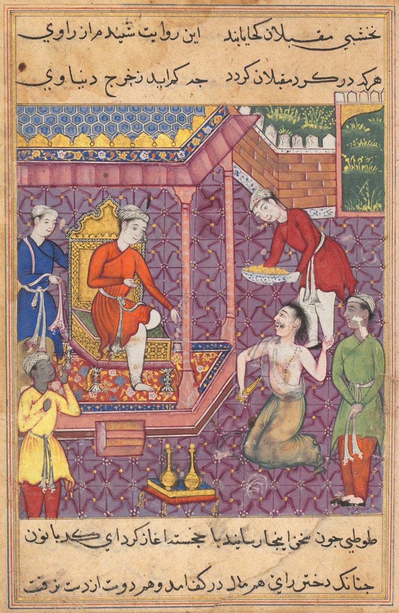Seite aus Geschichten eines Papageis Tuti-nama: Fünfunddreißigste Nacht: Der verkleidete Magier..., ca. 1560 von Unbekannt