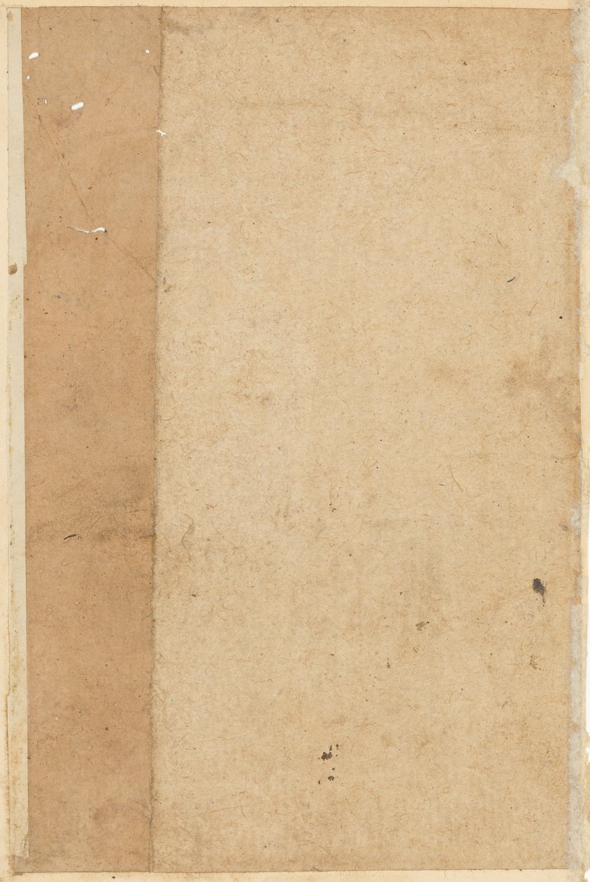 Seite aus Geschichten eines Papageis Tuti-nama: leere Seite, ca. 1560 von Unbekannt
