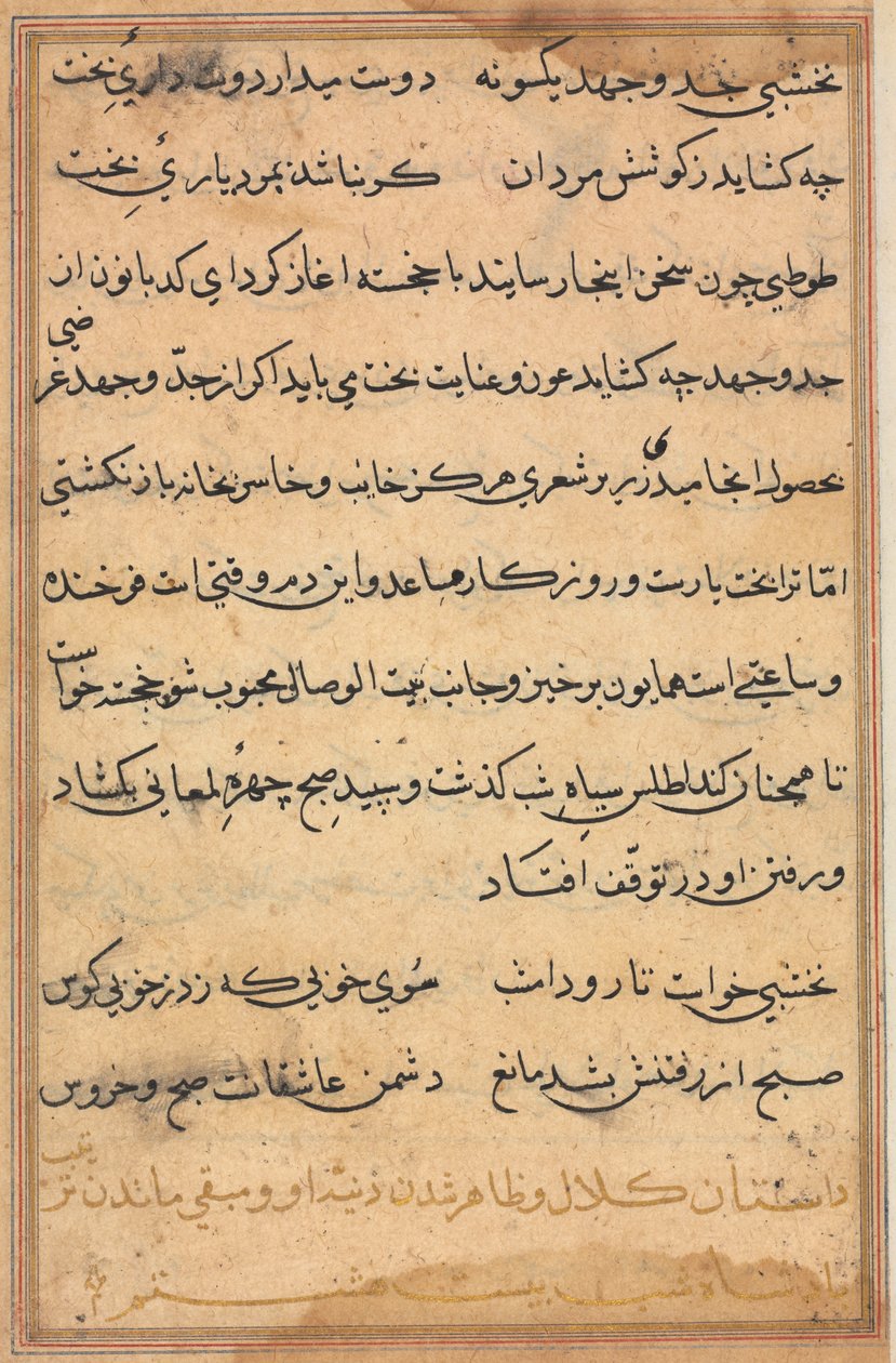 Seite aus den Geschichten eines Papageis Tuti-nama: Textseite, ca. 1560 von Unbekannt