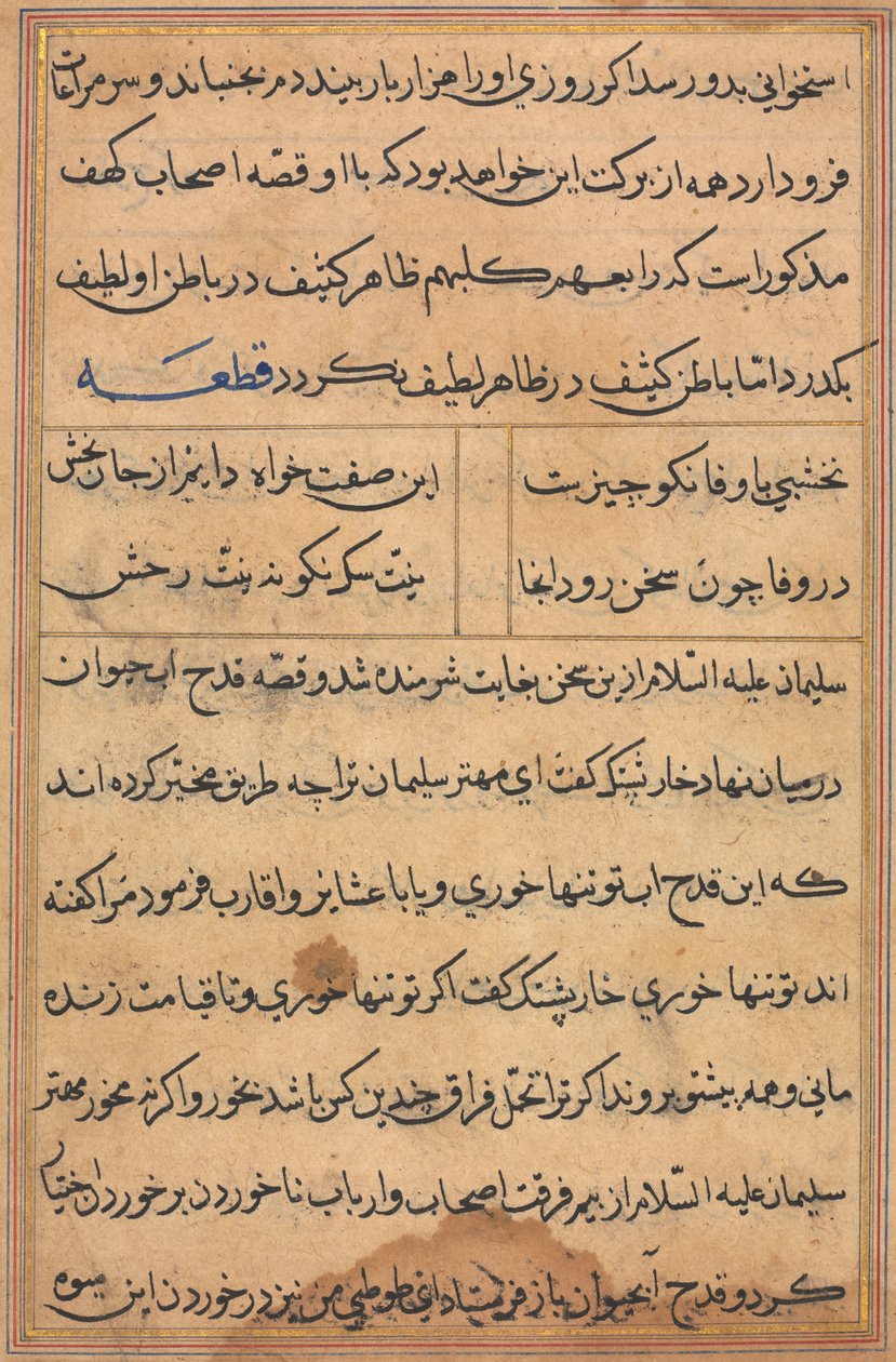 Seite aus Geschichten eines Papageis Tuti-nama: Textseite, ca. 1560 von Unbekannt