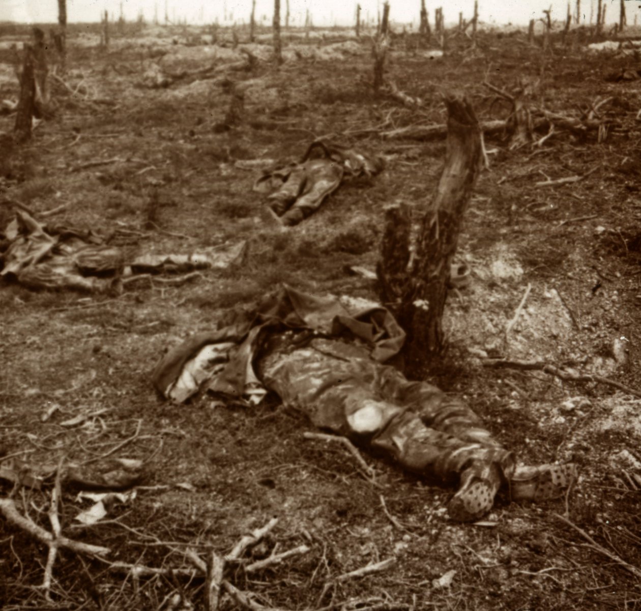 Pfad zwischen Leichen, um 1914-1918 von Unbekannt