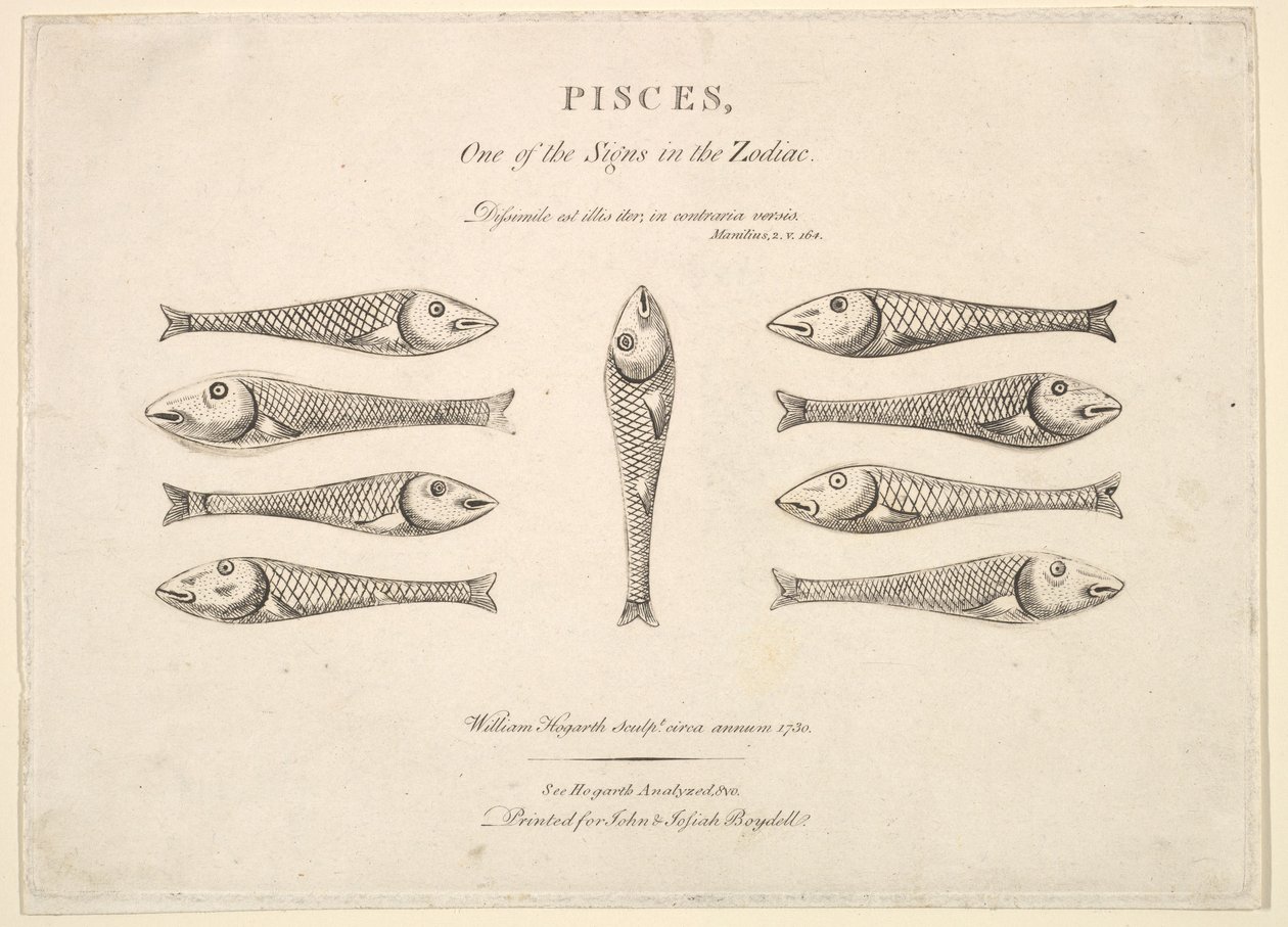 Fische: Hogarths Quadrille-Fische, ca. 1730 von Unbekannt