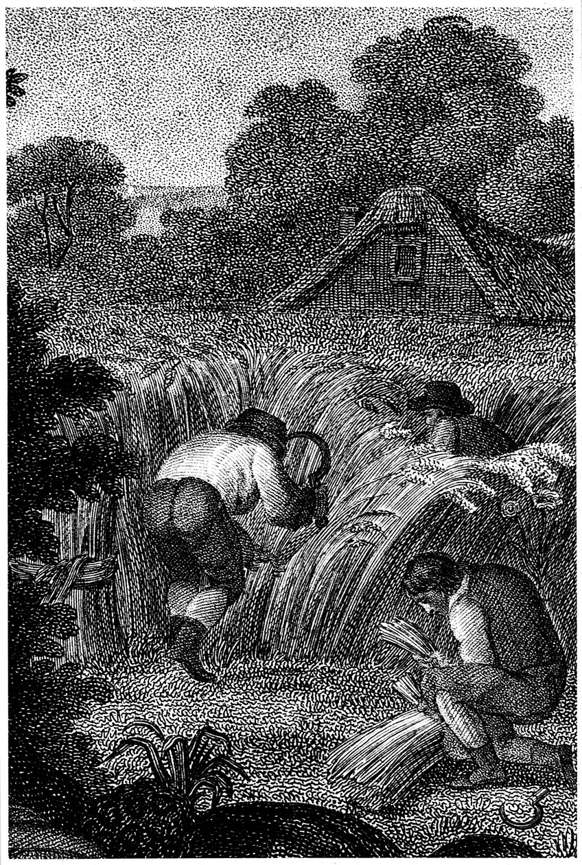 Ernten mit Sicheln und Binden der Garben, England, ca. 1800 von Unbekannt