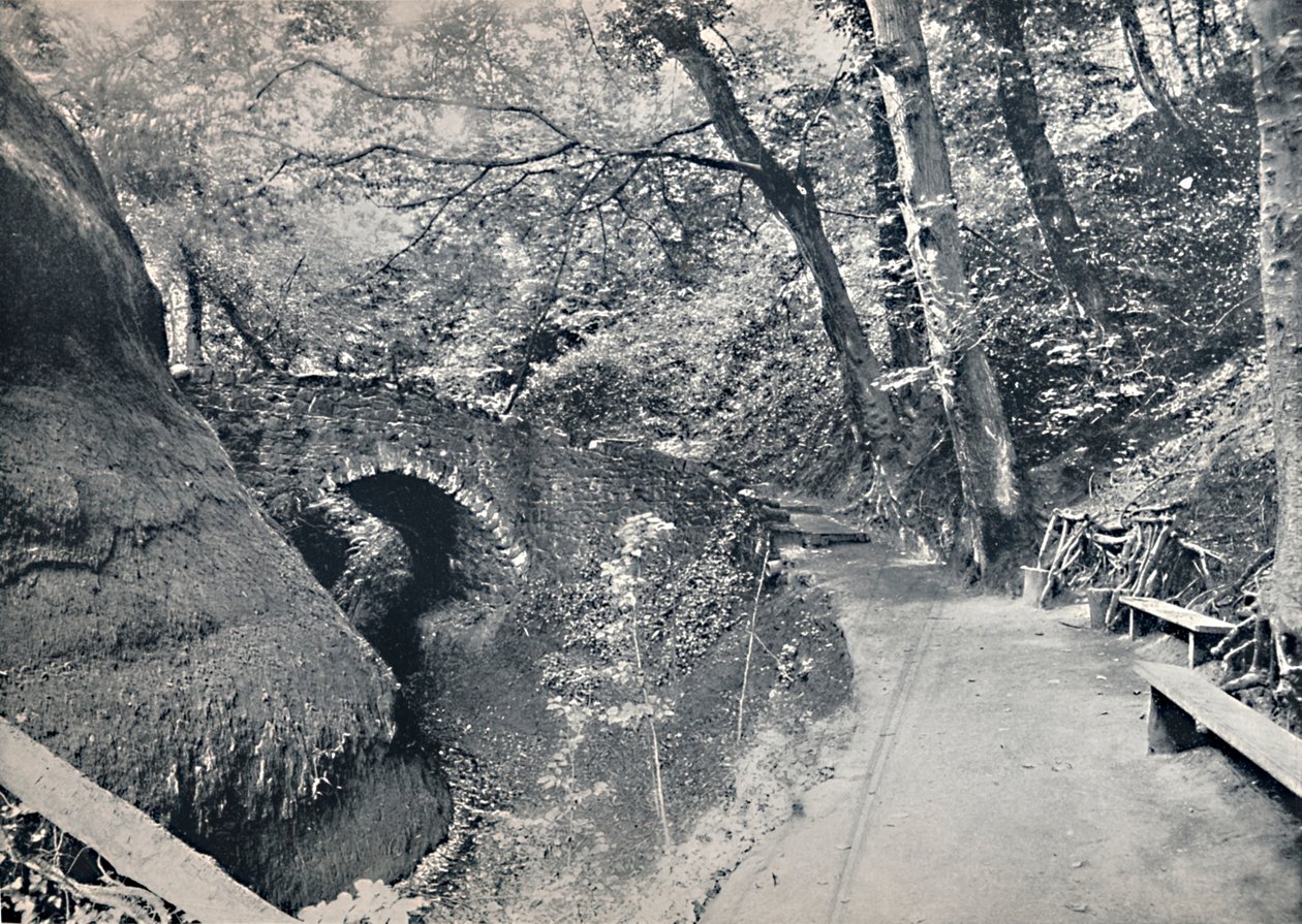 Shanklin - Die Schlucht, 1895 von Unbekannt