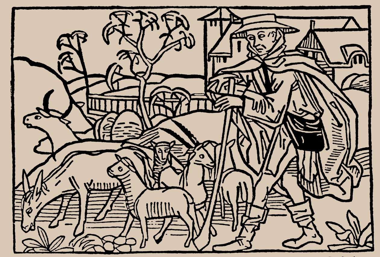 Hirte. Aus Speculum Vitae Humanae von Rodericus Zamorensis, 1479 von Unbekannt