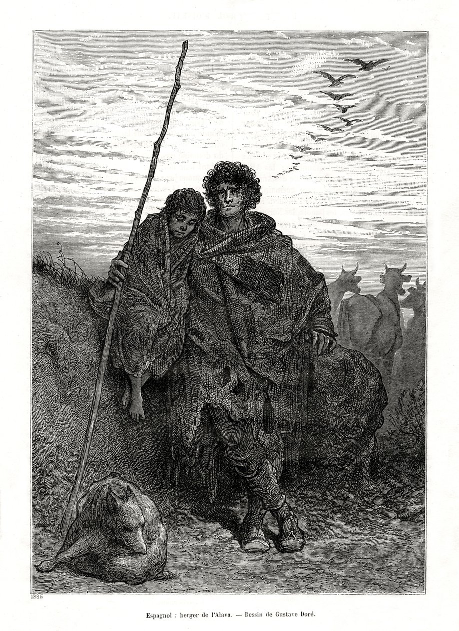 Hirte von Alava, Spanien, 1886 von Unbekannt