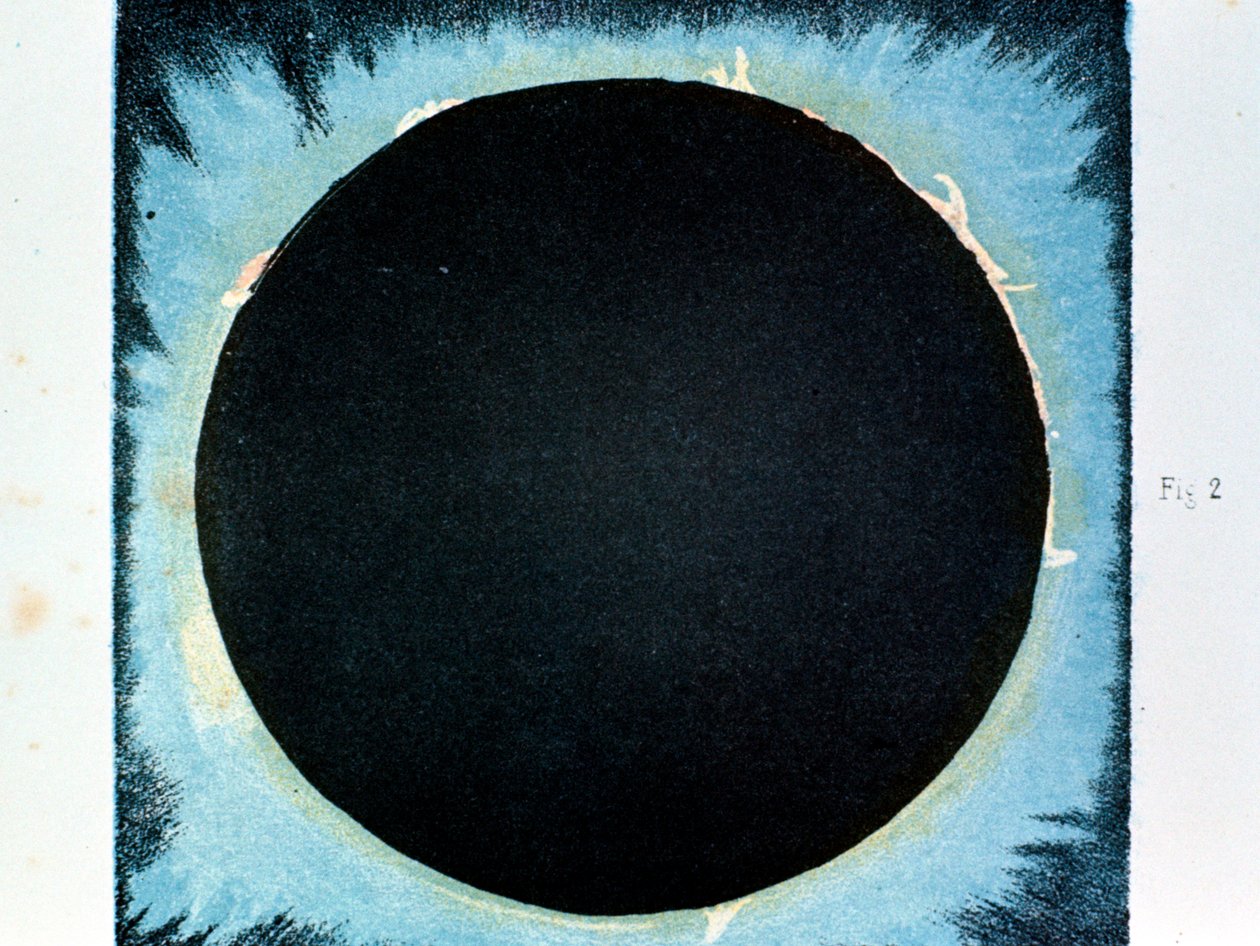 Sonnenkorona und Protuberanzen 1860-1870 von Unbekannt