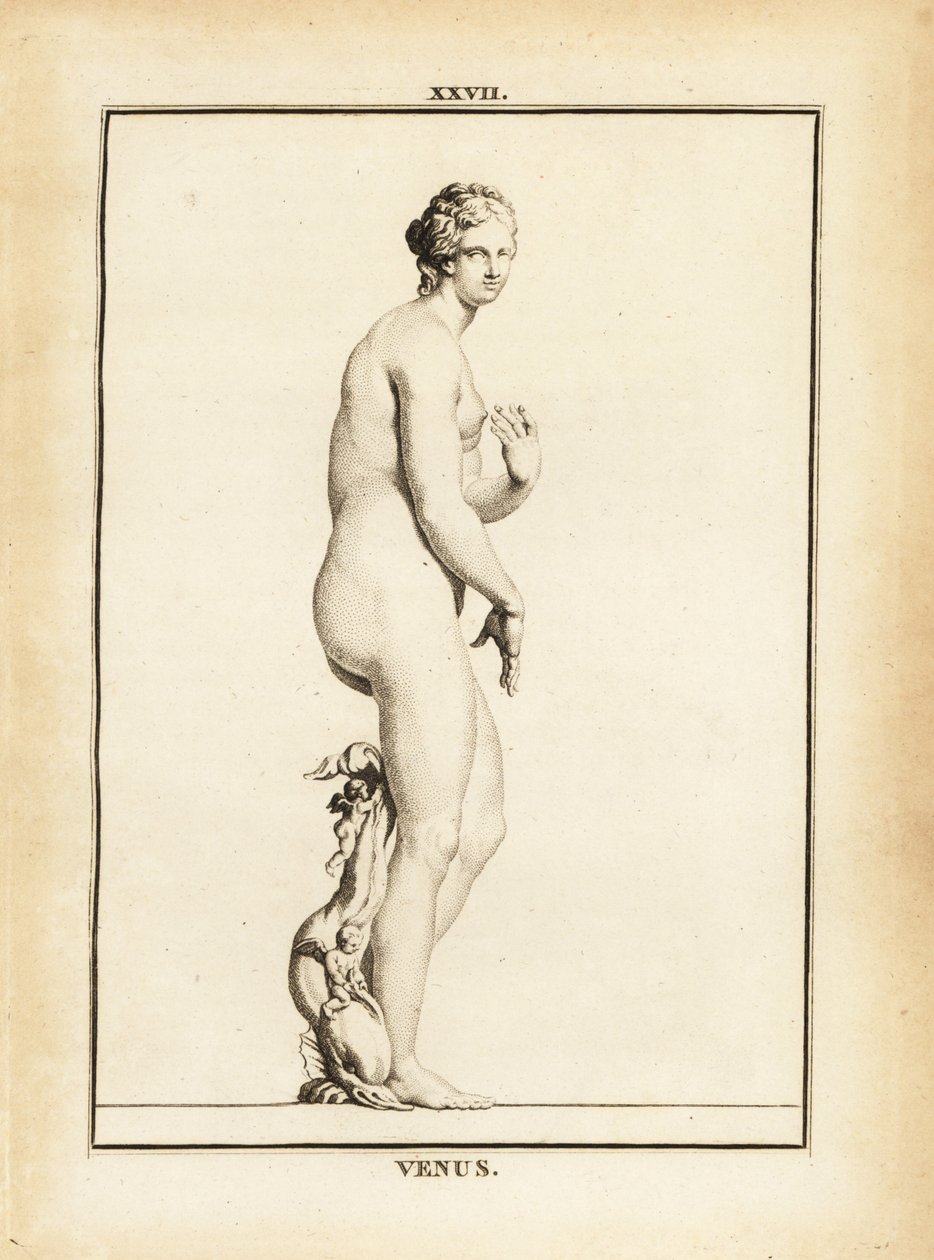 Statue der Venus, römische Göttin der Liebe, Schönheit, Sexualität und Fruchtbarkeit von Unbekannt