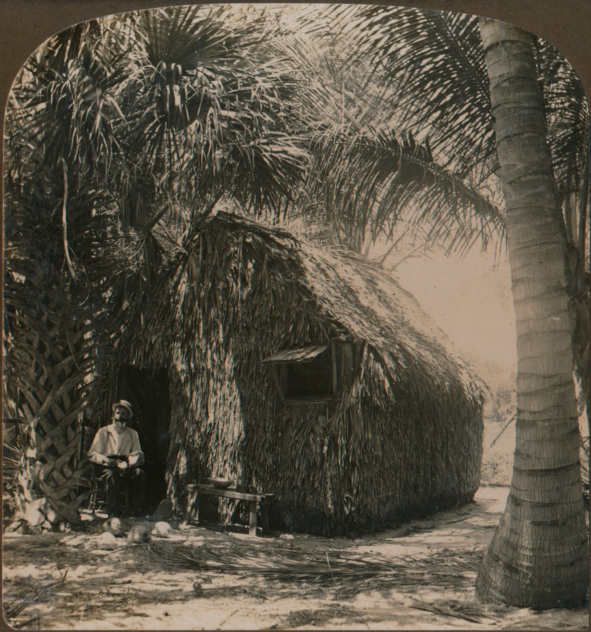 Reetgedecktes Cottage in Cocoanut Grove, Florida, USA, ca. 1900 von Unbekannt