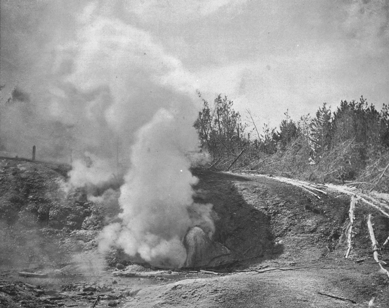 Der Schwarze Brüller, Norris Geyser Basin, Yellowstone Park, Montana, USA von Unbekannt
