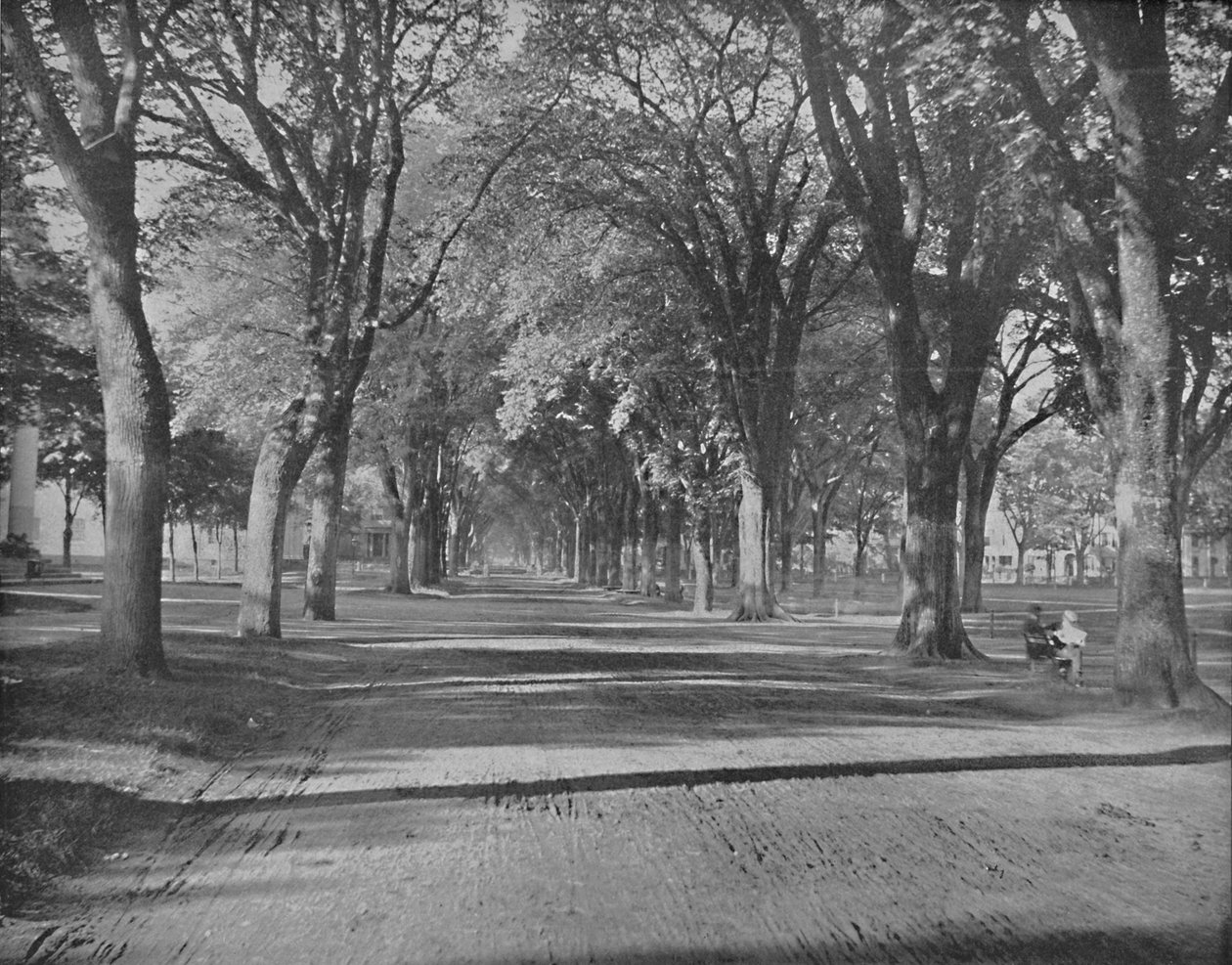 The Elms, New Haven, Conn., ca. 1897 von Unbekannt