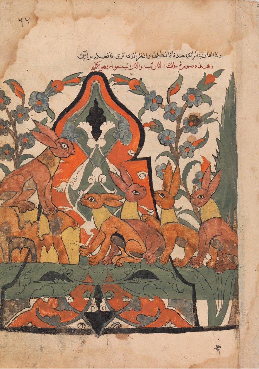Der König der Hasen im Rat mit seinen Untertanen, Folio aus einem Kalila wa Dimna von Unbekannt
