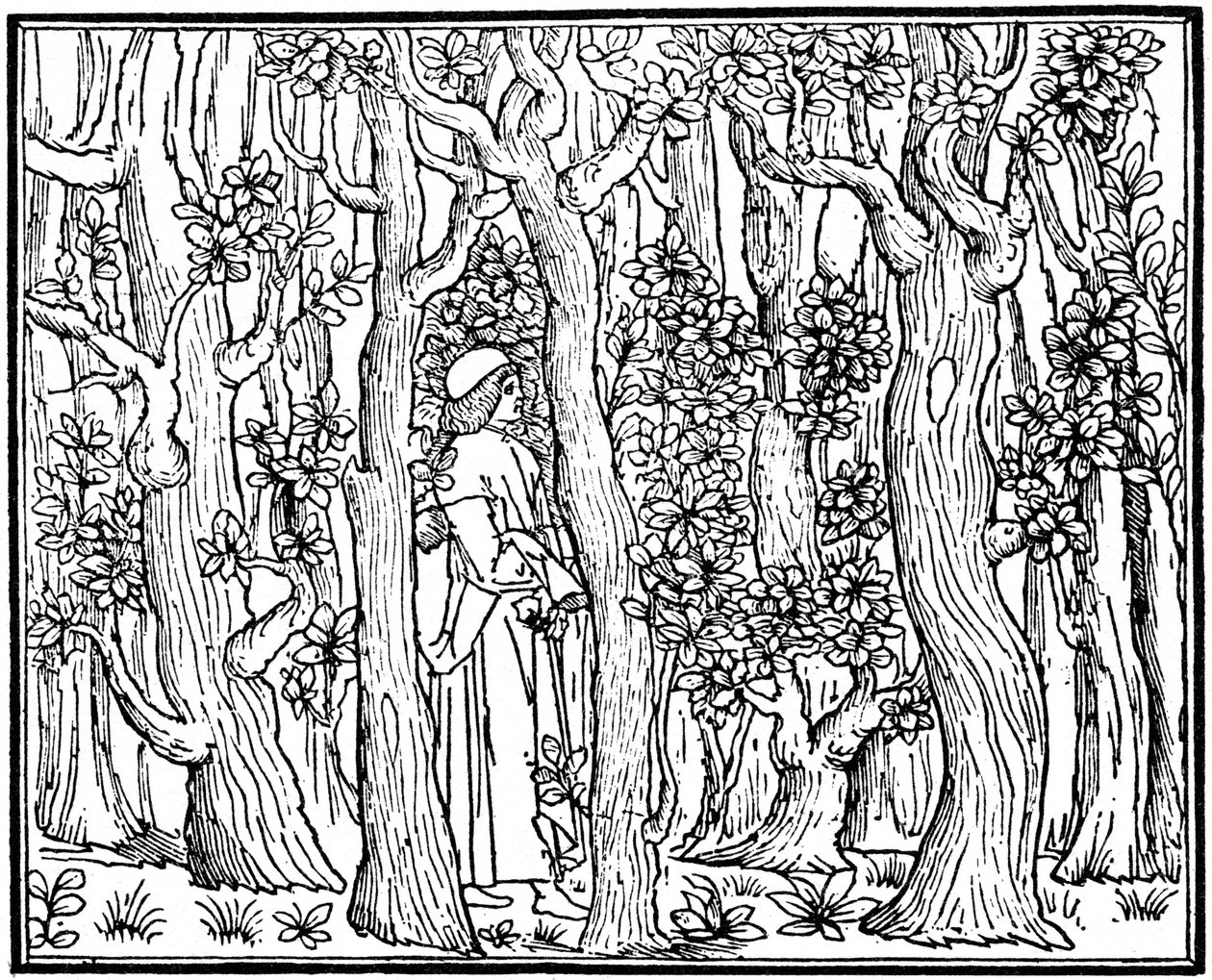 Der Liebhaber im Wald, 1499 von Unbekannt