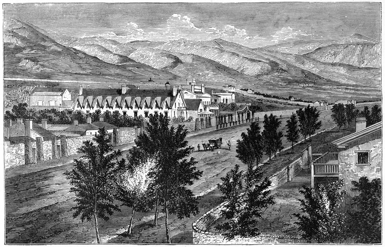 Der Mormonentempel und Prophetenblock, Salt Lake City, Utah von Unbekannt