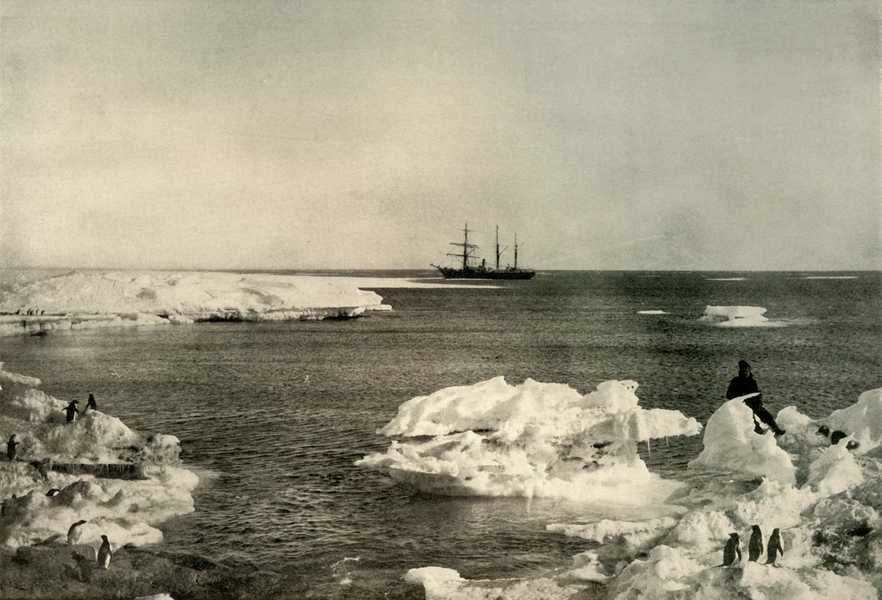 Die Nimrod vor der Pinguinkolonie, um 1908, 1909 von Unbekannt