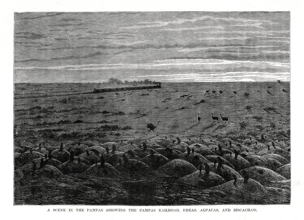 Die Pampas-Eisenbahn, südamerikanische Tiefebenen, 1877 von Unbekannt
