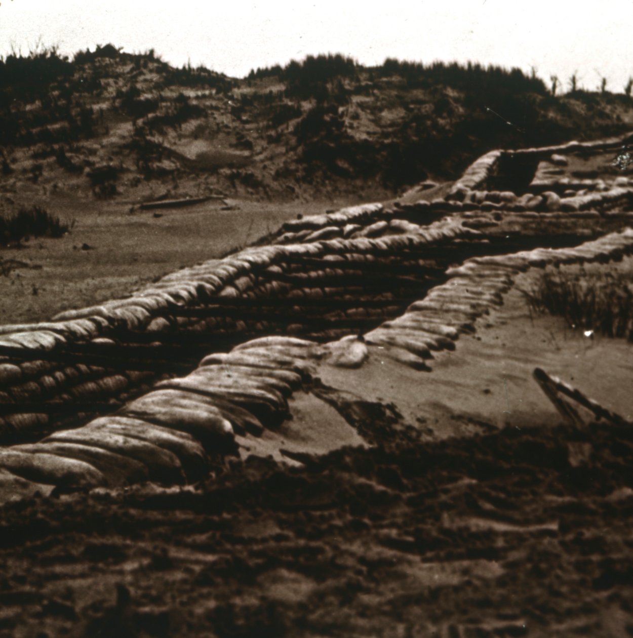 Schützengräben im Schutz der Dünen, Nieuwpoort, Flandern, Belgien, ca. 1914-1918 von Unbekannt