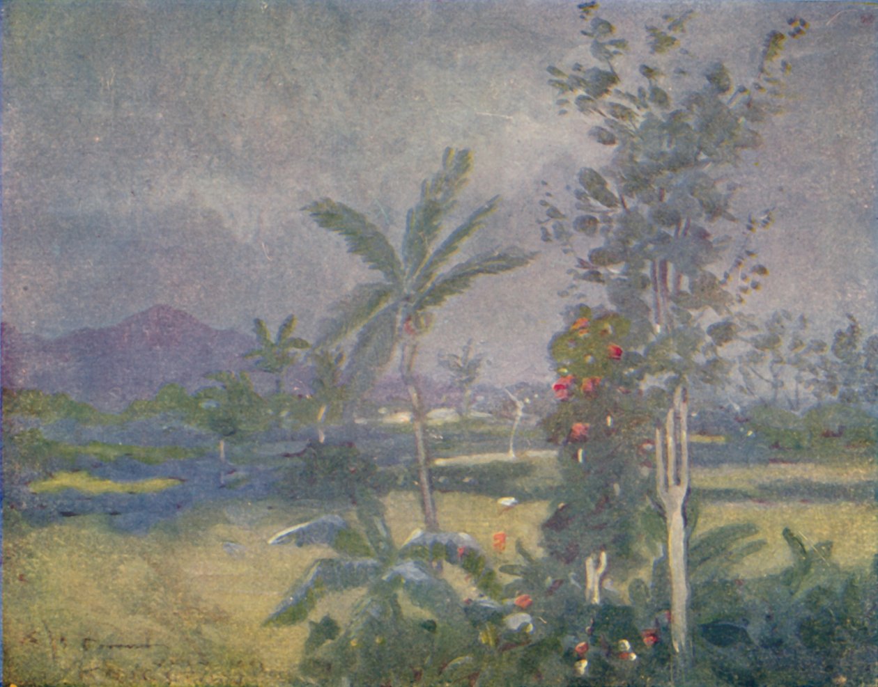 Tropische Regenfälle in Westindien, 1924 von Unbekannt