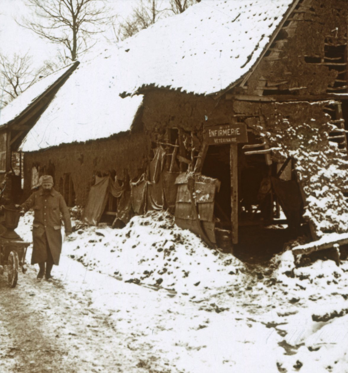 Veterinärstation für Pferde, Calonne, Nordfrankreich, um 1914-1918 von Unbekannt