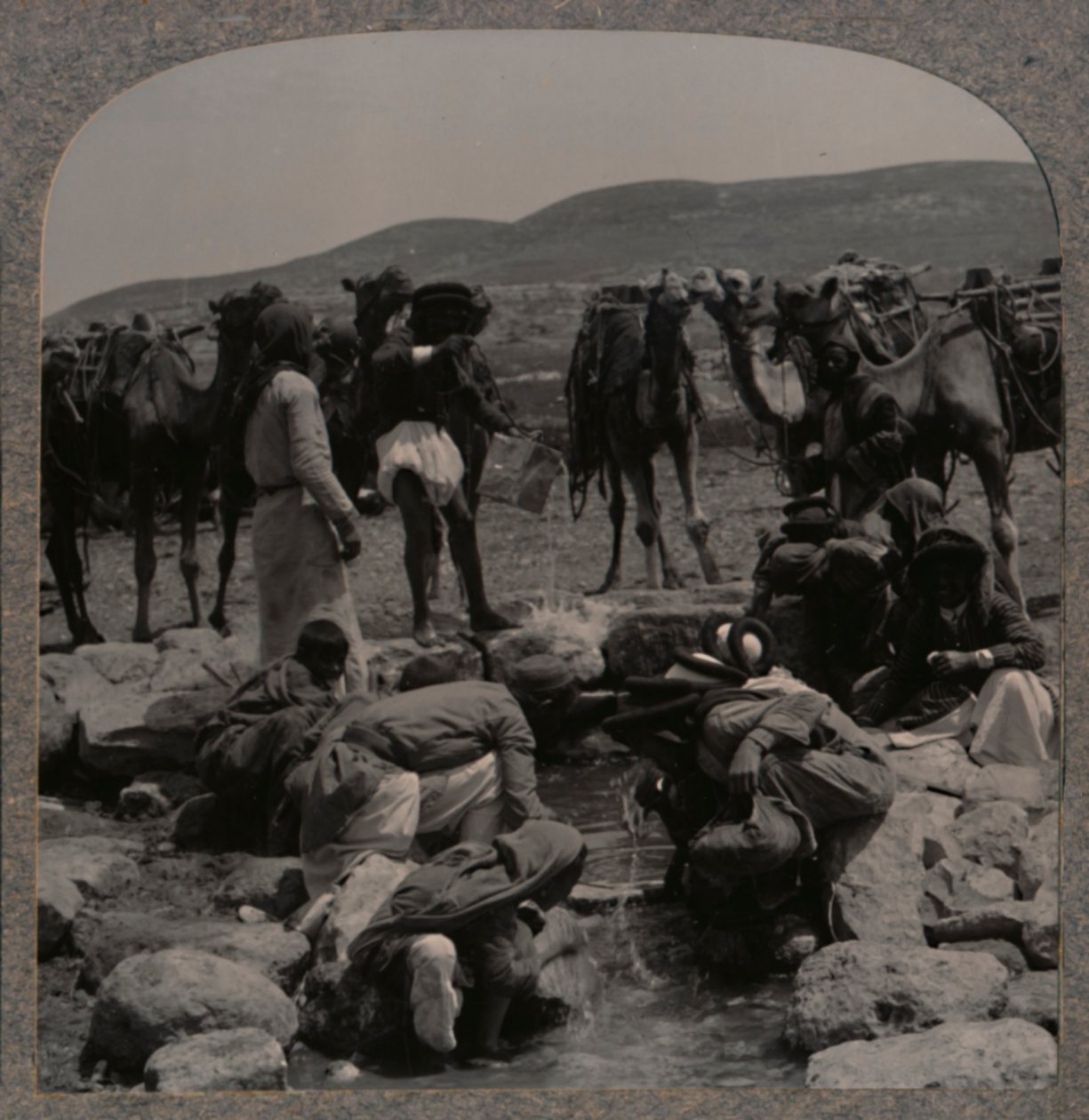 Kamele tränken am Jakobsbrunnen, ca. 1900 von Unbekannt