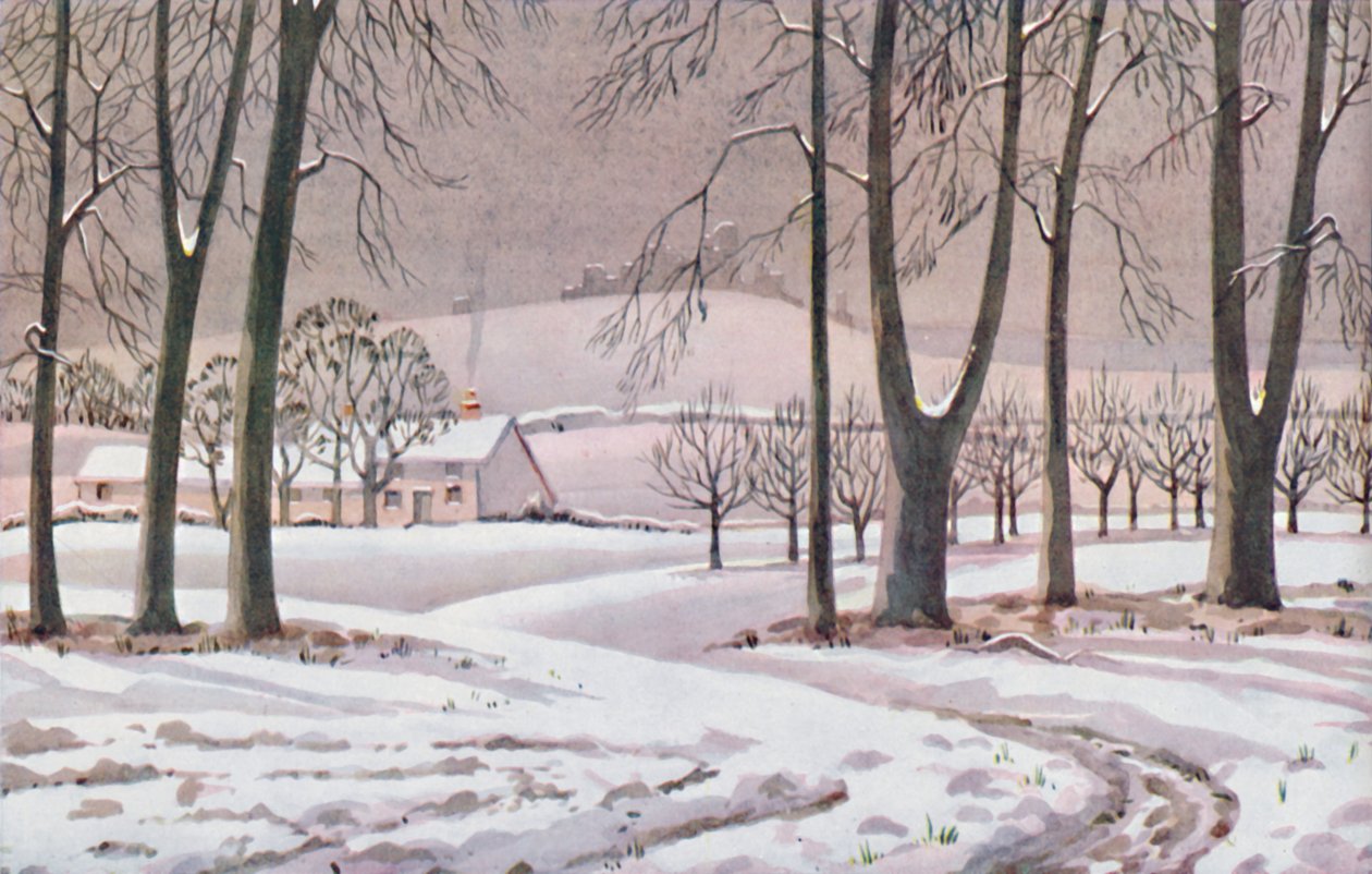 Winter - Die physikalischen, chemischen und biologischen Veränderungen durch die Sonne im Laufe des Jahres von Unbekannt
