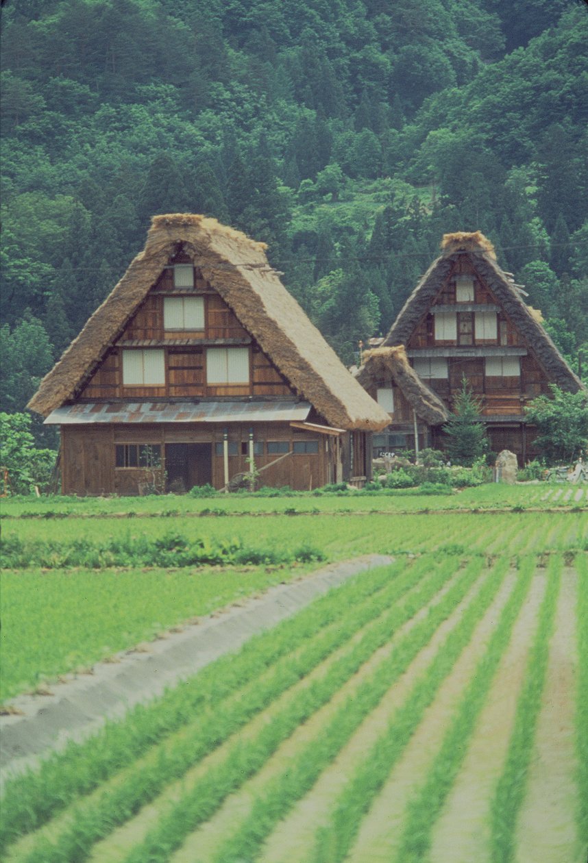 Shirakawa-Dorf, Gifu, Japan von Unbekannt Unbekannt