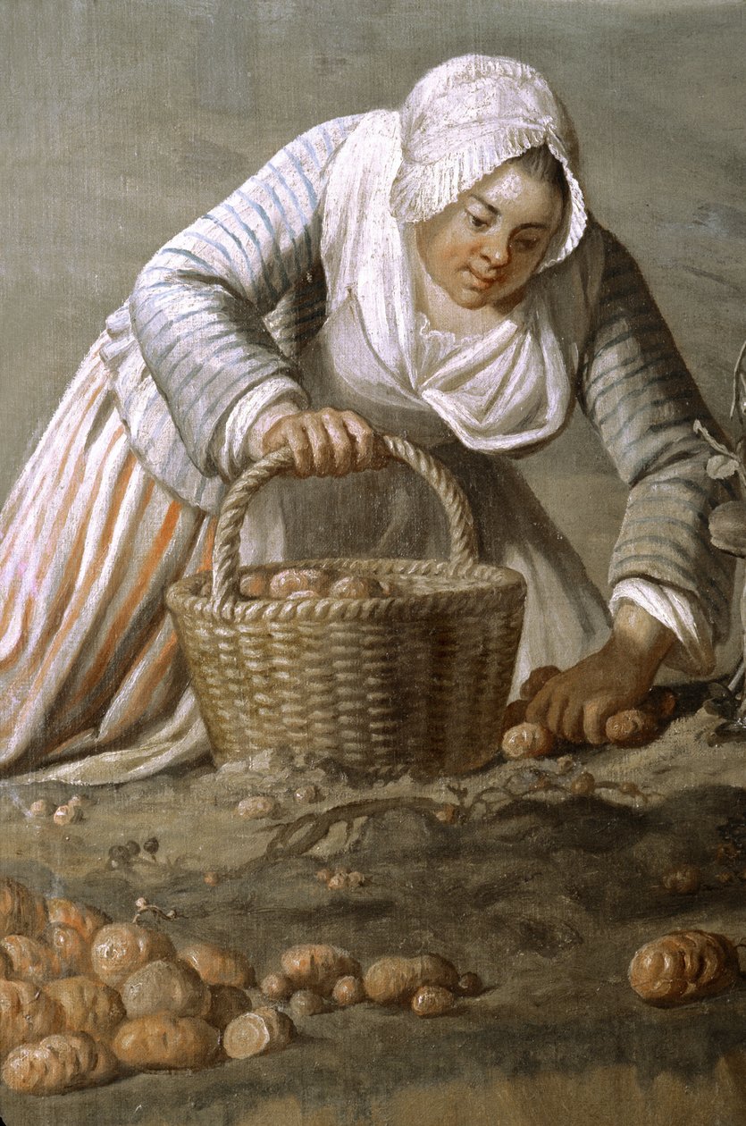 Frankreich - Somme - Département 80 - Amiens - Hotel de Berny - Museum für lokale Kunst - Detailgemälde von Dominique Doncre von Unbekannt Unbekannt