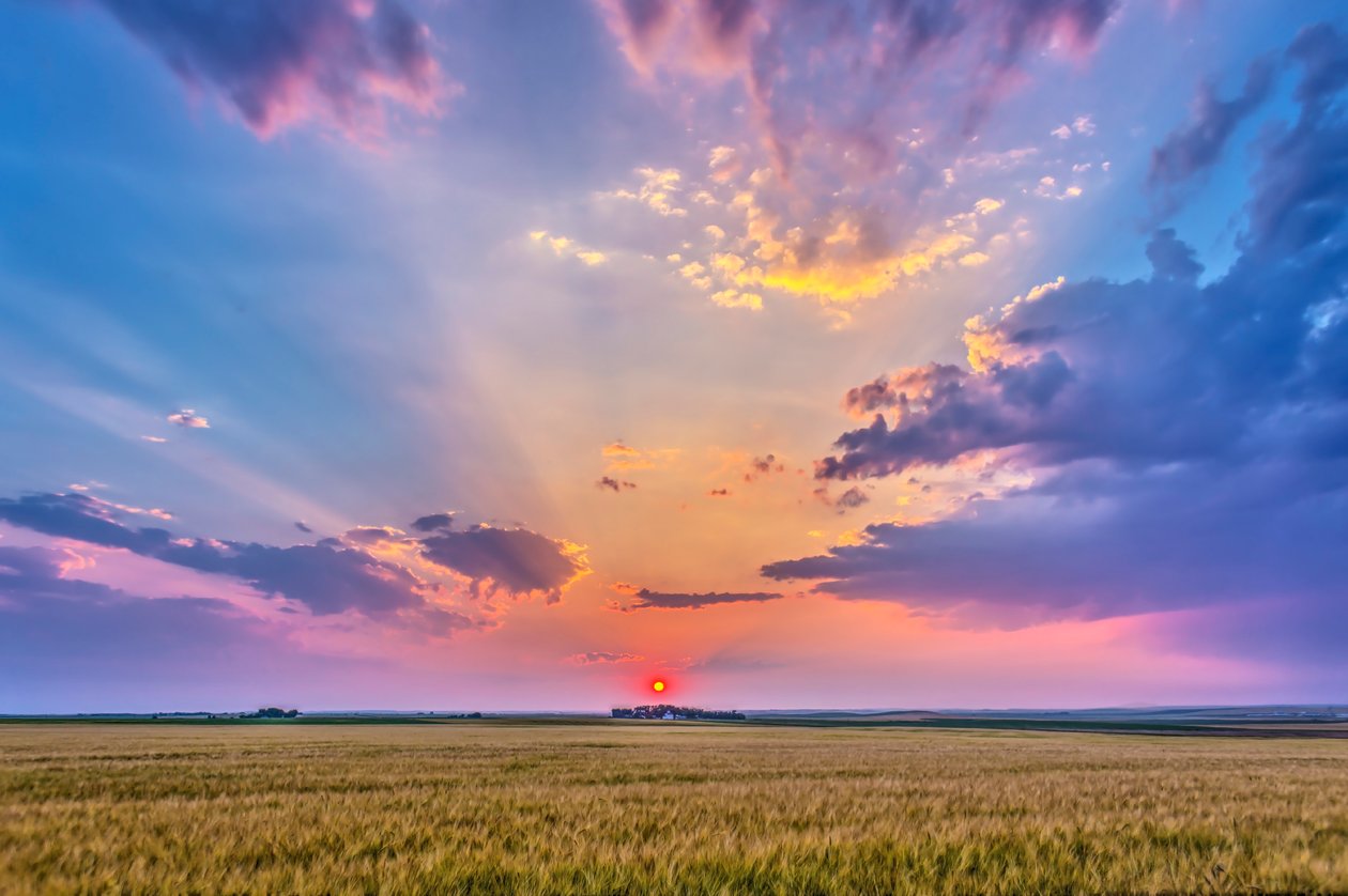 Die rote untergehende Sonne im Dunst, die Schatten über den Himmel wirft - Dämmerungsstrahlen - und die Wolken beleuchtet, über einem reifenden Weizenfeld in der Nähe von Zuhause in Alberta, 6. August 2014 von Unbekannt Unbekannt