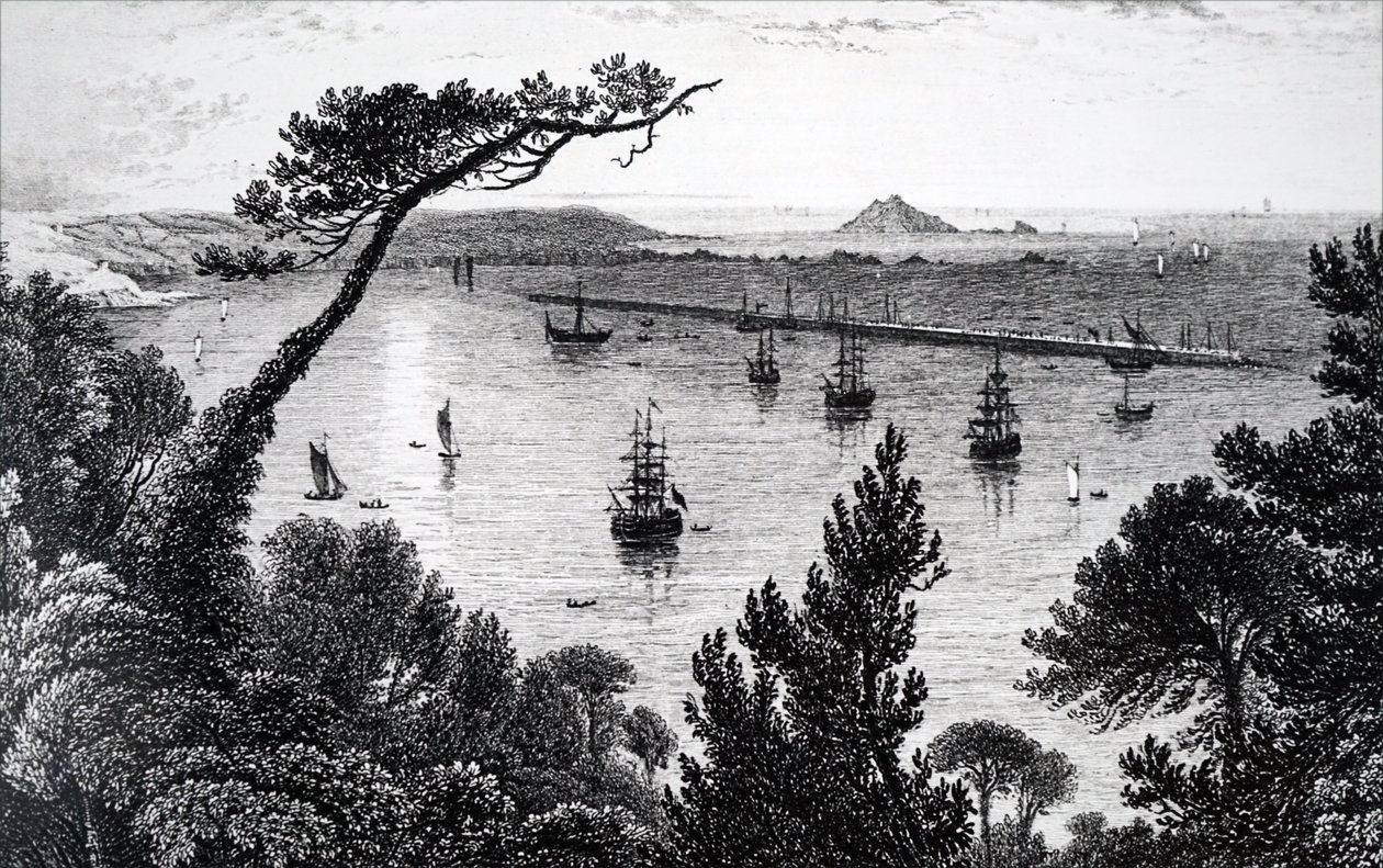 Ein Blick auf den Hafen von Plymouth von Unbekannt