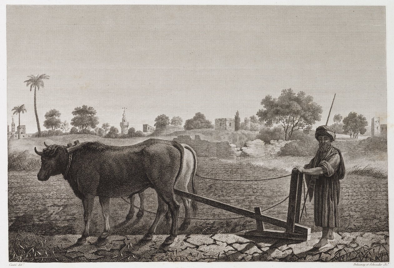Ackerbau, Pflügen Pflügen mit Ochsen, Ägypten, ca. 1798 von Unbekannt