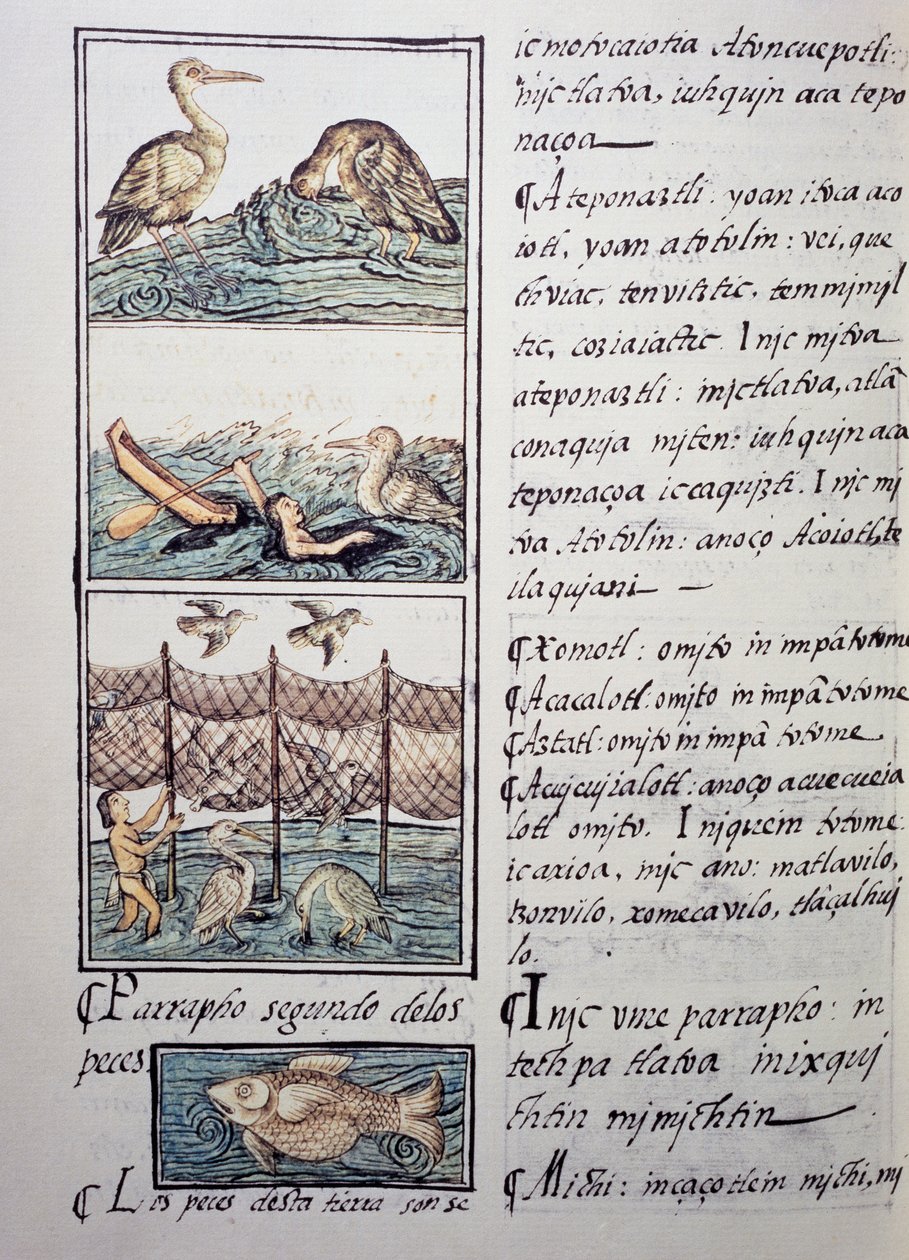 Vogeljagd am See von Benjamin Baud