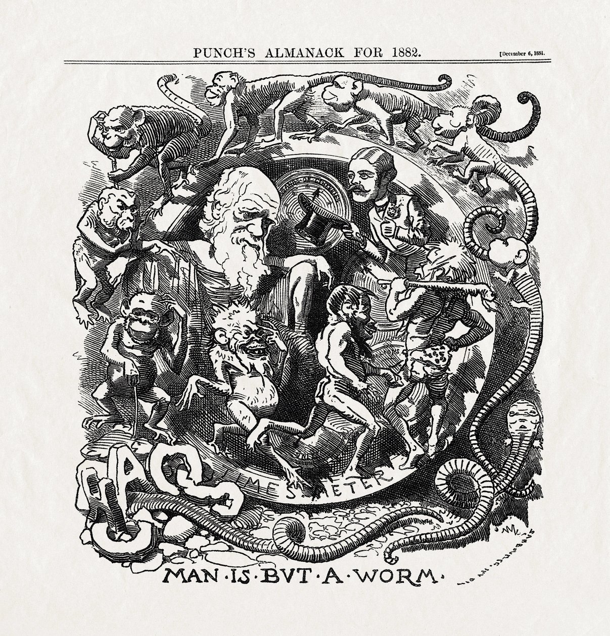 Karikatur zur Evolutionstheorie von Charles Darwin (1809-1882): "Der Mensch ist nur ein Wurm" aus "Punch", 06.12.1881 von Unbekannter Künstler