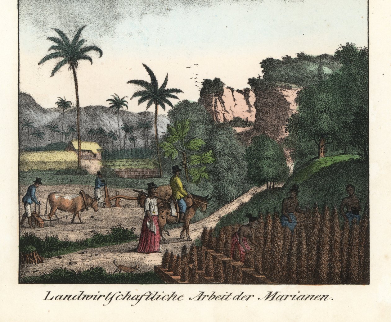 Chamarro-Bauern pflügen ein Feld und ziehen Pflanzreihen auf dem Marianen-Archipel (USA). Illustration aus Voyage Around the World (1824) von Louis de Freycinet (1779-1842). Lithographie aus dem Buch: „Galerie complète en tableaux fidèles des peu von Unbekannter Künstler