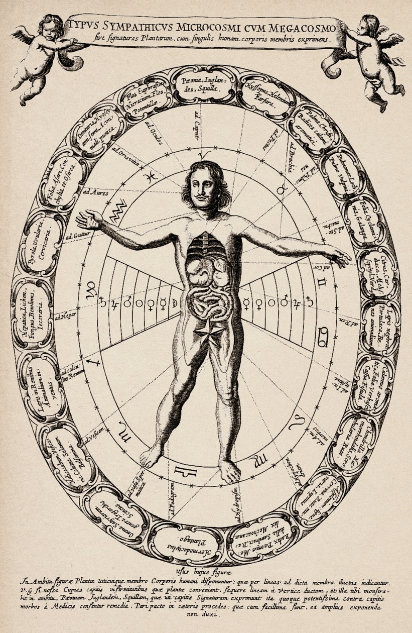 Korrespondenz zwischen Mikrokosmos und Makrokosmos. Platte aus „Mundus subterraneus“ von Athanase Kircher (1601-1680) von Unbekannter Künstler