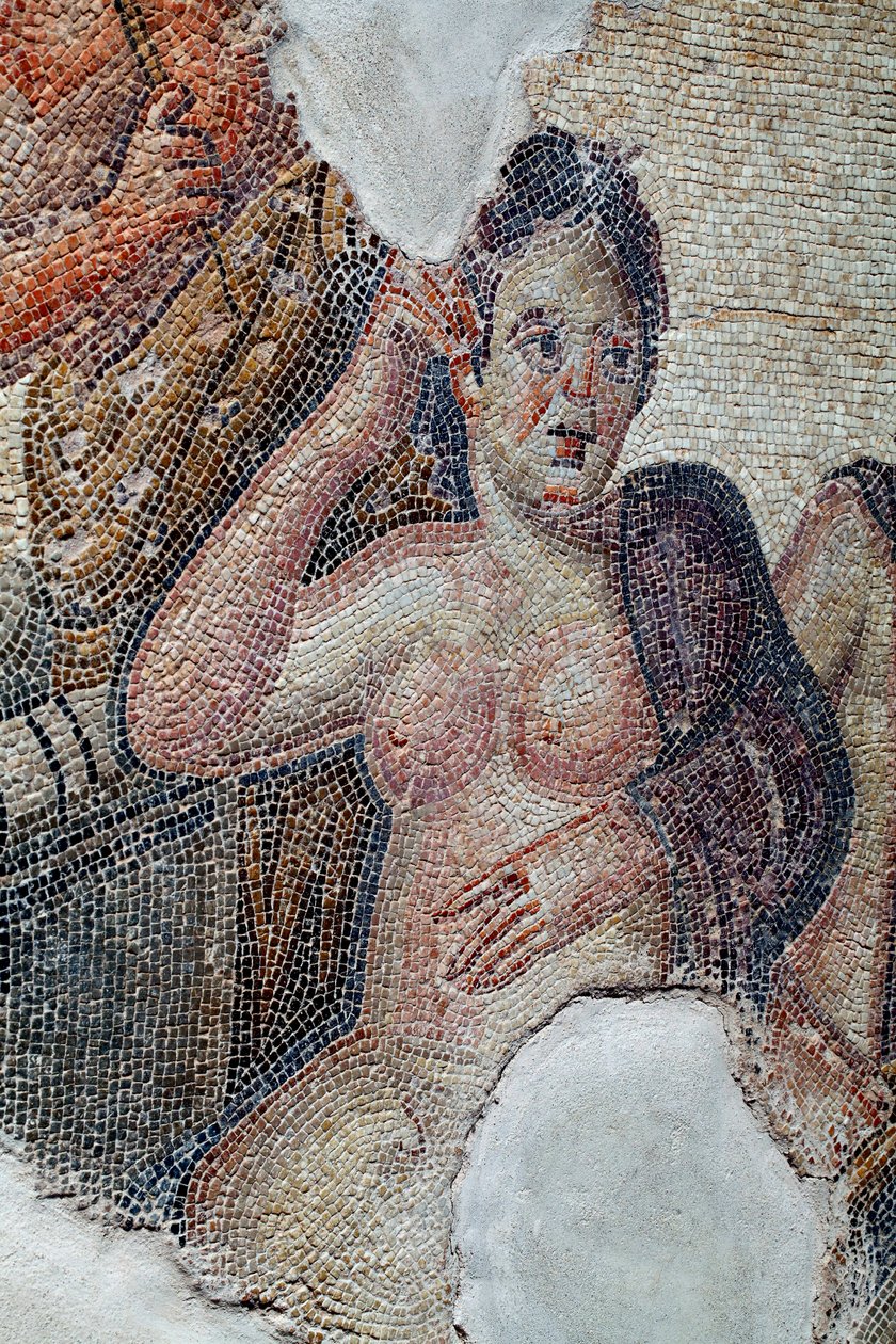 Detail des Panels, das Leda, Königin von Sparta, in Begleitung der lakedämonischen Mädchen zeigt, die im Begriff sind, ein Bad im Eurotas-Fluss zu nehmen - Sie wird von Zeus in Gestalt eines Schwans angesprochen - Paphos-Mosaiken, Haus des Aion, 3. Jahrhun von Unbekannter Künstler