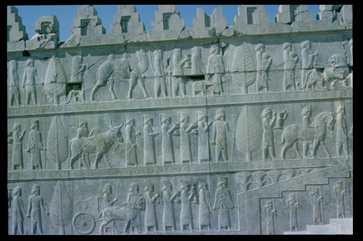 Detail des Relief-Frieses auf der östlichen Treppe zur Apadana (Audienzhalle), der Delegierte aus den unterworfenen Ländern des Reiches zeigt, die üppige Geschenke für eine Zeremonie tragen, Achämenidenzeit, ca. 515 v. Chr. von Unbekannt