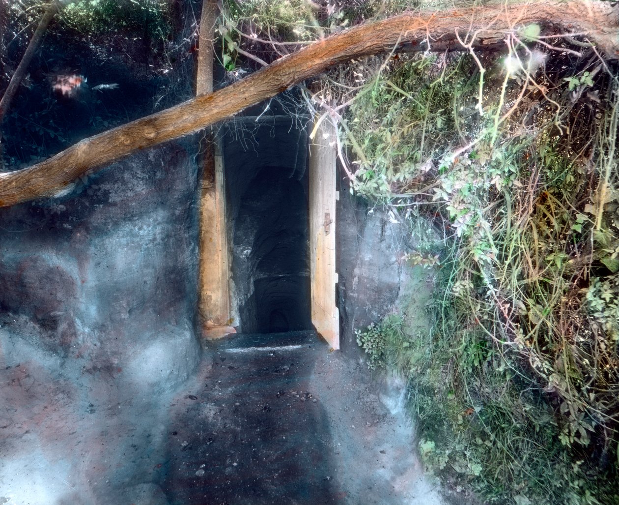 Hundsgrotte bei Neapel - Hunde ersticken an Kohlendioxid und der Mensch überlebt von Unbekannter Künstler