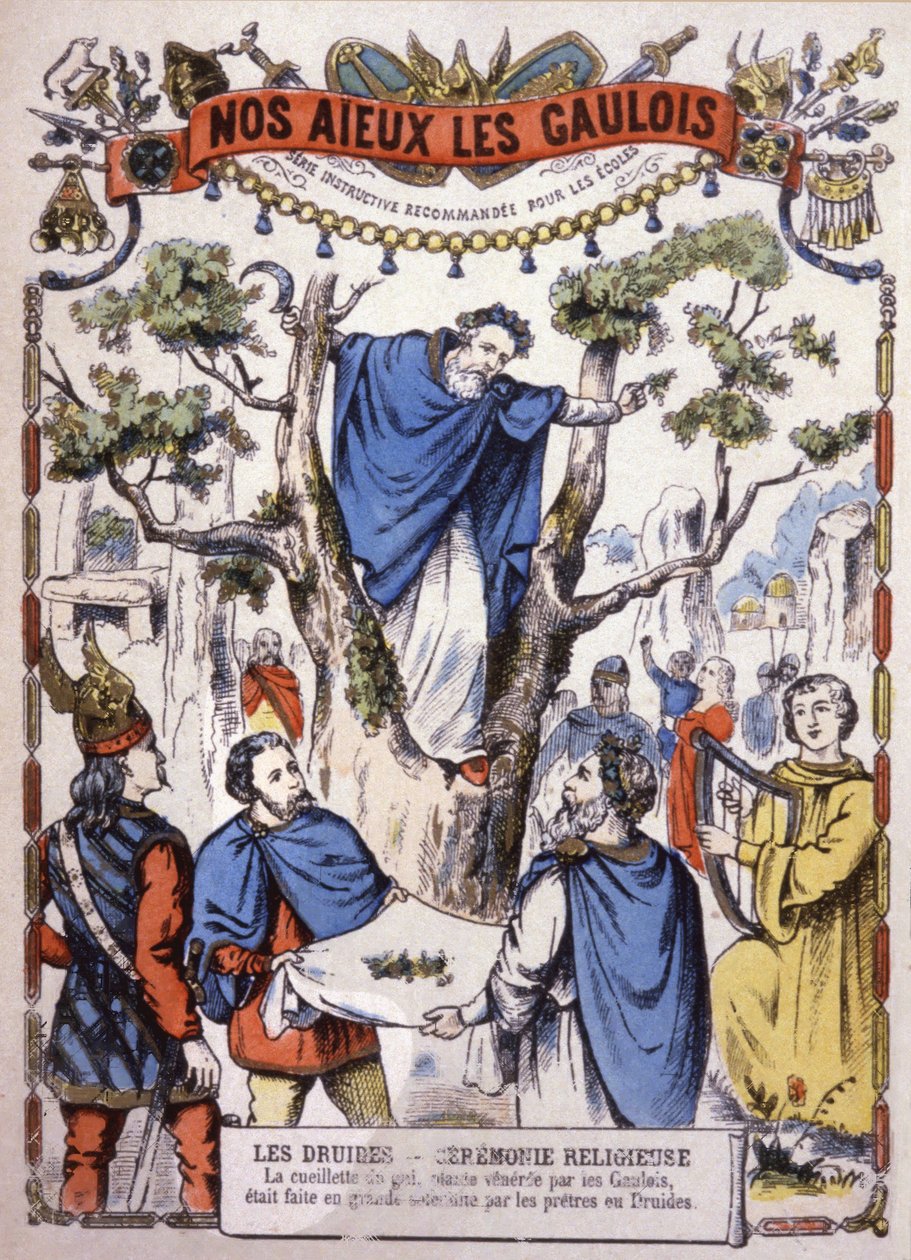 Druiden pflücken Mistel, um 1900 (Illustration) von Unbekannter Künstler