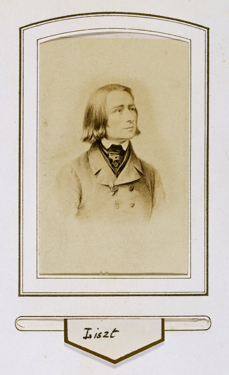 Franz Liszt in jungen Jahren von Unbekannter Künstler