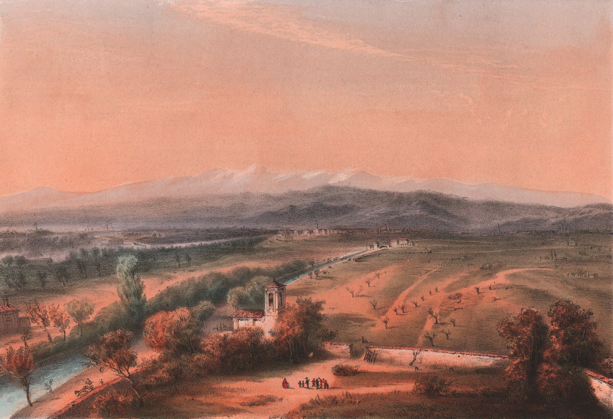 Gesamtansicht des Schlachtfeldes von Magenta, Lombardei von William M. Timlin